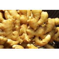 Ginger Wholesale Chinese High Quality Fresh Ginger Supplier for Wet Ginger